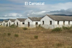 CARRASCAL-4